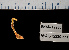  ( - BHAK-12230-FCBB)  @11 [ ] CreativeCommons Attribution Non-Commercial No Derivatives (2022) Matt Lemay Hakai Institute