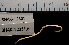  ( - BHAK-12231-FCBB)  @11 [ ] CreativeCommons Attribution Non-Commercial No Derivatives (2022) Matt Lemay Hakai Institute