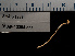  ( - BHAK-12294-FCBB)  @11 [ ] CreativeCommons Attribution Non-Commercial No Derivatives (2022) Matt Lemay Hakai Institute