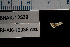  ( - BHAK-12339-FCBB)  @11 [ ] CreativeCommons Attribution Non-Commercial No Derivatives (2022) Matt Lemay Hakai Institute