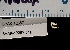  ( - BHAK-12357-FCBB)  @11 [ ] CreativeCommons Attribution Non-Commercial No Derivatives (2022) Matt Lemay Hakai Institute