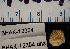  ( - BHAK-12304-FCBB)  @11 [ ] CreativeCommons Attribution Non-Commercial No Derivatives (2022) Matt Lemay Hakai Institute