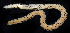  ( - BHAK-1529)  @11 [ ] CreativeCommons Attribution Non-Commercial No Derivatives (2021) Gustav Paulay Florida Museum of Natural History