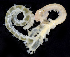  ( - BHAK-3645_2)  @11 [ ] CreativeCommons Attribution Non-Commercial No Derivatives (2019) Gustav Paulay Florida Museum of Natural History