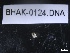  ( - BHAK-0124)  @11 [ ] CreativeCommons - Attribution No Derivatives (2019) Hakai Institute Hakai Institute