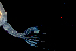  ( - BHAK-13566)  @11 [ ] CreativeCommons Attribution Non-Commercial No Derivatives (2024) Matt Lemay Hakai Institute