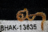  ( - BHAK-13635)  @11 [ ] CreativeCommons Attribution Non-Commercial No Derivatives (2024) Matt Lemay Hakai Institute