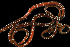  ( - BHAK-13786)  @11 [ ] CreativeCommons Attribution Non-Commercial No Derivatives (2024) Matt Lemay Hakai Institute