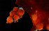  ( - BHAK-13791)  @11 [ ] CreativeCommons Attribution Non-Commercial No Derivatives (2024) Matt Lemay Hakai Institute