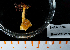  ( - BHAK-13792)  @11 [ ] CreativeCommons Attribution Non-Commercial No Derivatives (2024) Matt Lemay Hakai Institute