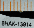  ( - BHAK-13914)  @11 [ ] CreativeCommons Attribution Non-Commercial No Derivatives (2024) Matt Lemay Hakai Institute