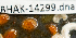 ( - BHAK-14299)  @11 [ ] CreativeCommons Attribution Non-Commercial No Derivatives (2025) Matt Lemay Hakai Institute