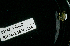  ( - BHAK-14620)  @11 [ ] CreativeCommons Attribution Non-Commercial No Derivatives (2024) Matt Lemay Hakai Institute