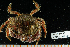  ( - BHAK-14642)  @11 [ ] CreativeCommons Attribution Non-Commercial No Derivatives (2024) Matt Lemay Hakai Institute