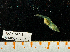  ( - BHAK-14745)  @11 [ ] CreativeCommons Attribution Non-Commercial No Derivatives (2024) Matt Lemay Hakai Institute