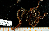  ( - BHAK-14781)  @11 [ ] CreativeCommons Attribution Non-Commercial No Derivatives (2024) Matt Lemay Hakai Institute
