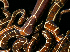  ( - BHAK-14781)  @11 [ ] CreativeCommons Attribution Non-Commercial No Derivatives (2024) Matt Lemay Hakai Institute