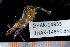  ( - BHAK-14855)  @11 [ ] CreativeCommons Attribution Non-Commercial No Derivatives (2025) Matt Lemay Hakai Institute