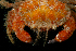  ( - BHAK-14892)  @11 [ ] CreativeCommons Attribution Non-Commercial No Derivatives (2024) Matt Lemay Hakai Institute