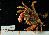  ( - BHAK-14895)  @11 [ ] CreativeCommons Attribution Non-Commercial No Derivatives (2024) Matt Lemay Hakai Institute
