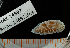  ( - BHAK-14897)  @11 [ ] CreativeCommons Attribution Non-Commercial No Derivatives (2024) Matt Lemay Hakai Institute