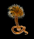  ( - BHAK-15063)  @11 [ ] CreativeCommons Attribution Non-Commercial No Derivatives (2024) Matt Lemay Hakai Institute