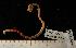  ( - BHAK-15096)  @11 [ ] CreativeCommons Attribution Non-Commercial No Derivatives (2024) Matt Lemay Hakai Institute