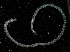  ( - BHAK-15126)  @11 [ ] CreativeCommons Attribution Non-Commercial No Derivatives (2024) Matt Lemay Hakai Institute