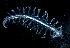  ( - BHAK-15695)  @11 [ ] CreativeCommons Attribution Non-Commercial No Derivatives (2024) Matt Lemay Hakai Institute