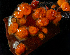  ( - BHAK-15700)  @11 [ ] CreativeCommons Attribution Non-Commercial No Derivatives (2024) Matt Lemay Hakai Institute