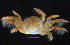  ( - BHAK-15796)  @11 [ ] CreativeCommons Attribution Non-Commercial No Derivatives (2024) Matt Lemay Hakai Institute