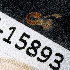  ( - BHAK-15893)  @11 [ ] CreativeCommons Attribution Non-Commercial No Derivatives (2024) Matt Lemay Hakai Institute
