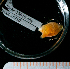  ( - BHAK-15910)  @11 [ ] CreativeCommons Attribution Non-Commercial No Derivatives (2024) Matt Lemay Hakai Institute