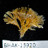  ( - BHAK-15920)  @11 [ ] CreativeCommons Attribution Non-Commercial No Derivatives (2024) Matt Lemay Hakai Institute