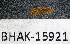  ( - BHAK-15921)  @11 [ ] CreativeCommons Attribution Non-Commercial No Derivatives (2024) Matt Lemay Hakai Institute
