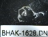  ( - BHAK-1628)  @11 [ ] 