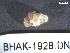  ( - BHAK-1928)  @11 [ ] CreativeCommons Attribution Non-Commercial No Derivatives (2019) Matt Lemay Hakai Institute