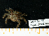  ( - BHAK-19966)  @11 [ ] CreativeCommons Attribution Non-Commercial No Derivatives (2024) Matt Lemay Hakai Institute