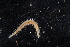 ( - BHAK-11942)  @11 [ ] CreativeCommons Attribution Non-Commercial No Derivatives (2021) Matt Whalen Hakai Institute