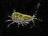  ( - BHAK-12003-FCBB)  @11 [ ] CreativeCommons Attribution Non-Commercial No Derivatives (2022) Matt Lemay Hakai Institute