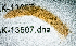  ( - BHAK-13607)  @11 [ ] CreativeCommons Attribution Non-Commercial No Derivatives (2024) Matt Lemay Hakai Institute