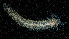  ( - BHAK-13607)  @11 [ ] CreativeCommons Attribution Non-Commercial No Derivatives (2024) Matt Lemay Hakai Institute