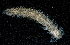  ( - BHAK-13607)  @11 [ ] CreativeCommons Attribution Non-Commercial No Derivatives (2024) Matt Lemay Hakai Institute
