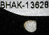  ( - BHAK-13628)  @11 [ ] CreativeCommons Attribution Non-Commercial No Derivatives (2024) Matt Lemay Hakai Institute
