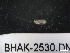  ( - BHAK-2530)  @11 [ ] CreativeCommons - Attribution No Derivatives (2017) Matt Lemay Hakai Institute