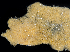  ( - BHAK-0098_2)  @11 [ ] CreativeCommons Attribution Non-Commercial No Derivatives (2017) Gustav Paulay Florida Museum of Natural History