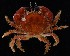  ( - BHAK-11313)  @11 [ ] CreativeCommons Attribution Non-Commercial No Derivatives (2021) Matt Lemay Hakai Institute