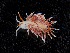  ( - BHAK-10555_2)  @11 [ ] CreativeCommons Attribution Non-Commercial No Derivatives (2021) Matt Lemay Hakai Institute