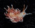 ( - BHAK-10555_2)  @11 [ ] CreativeCommons Attribution Non-Commercial No Derivatives (2021) Matt Lemay Hakai Institute