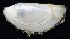  ( - BHAK-06748_2)  @11 [ ] CreativeCommons Attribution Non-Commercial No Derivatives (2019) Gustav Paulay Florida Museum of Natural History